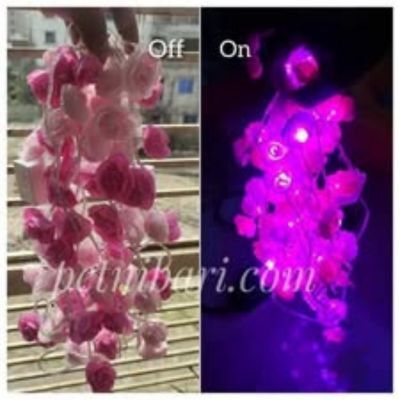 Rose Fairy Led Golden Colour Light Pink & Deap pink Flower